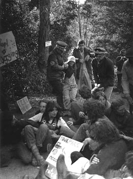 Mt. Nardi forest blockade